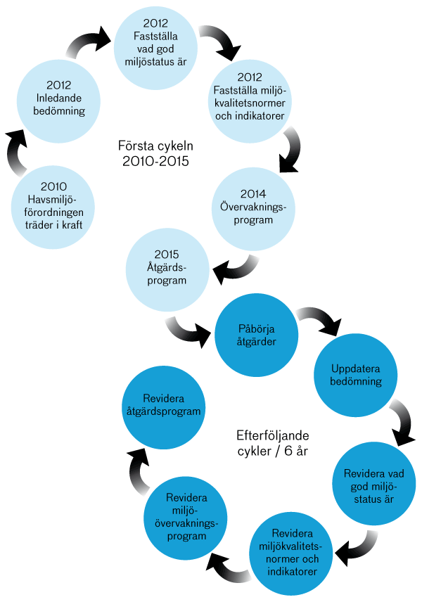 Grafisk presentation av arbetsmoment som ingår under en sexårig förvaltningsperiod. 